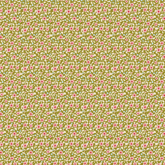 Brie - Basics- Green