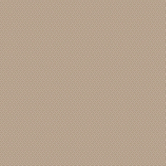 Poppy Seed - Basics- Mouse