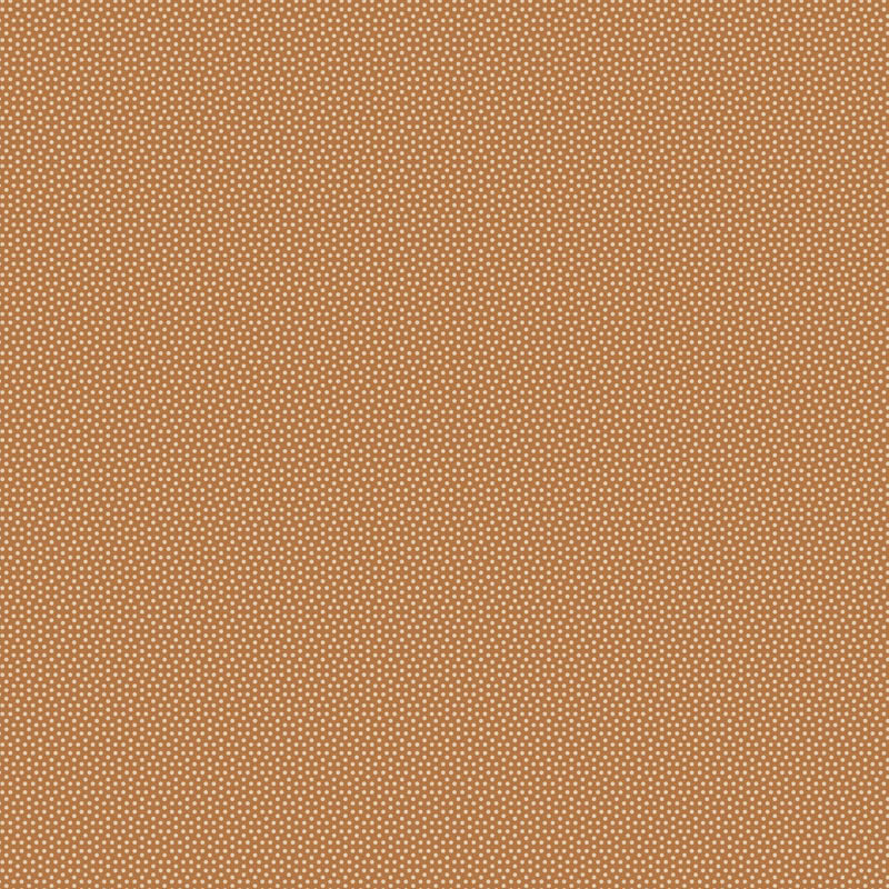 Poppy Seed - Basics- Tea