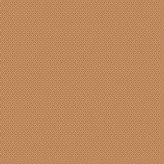 Poppy Seed - Basics- Tea