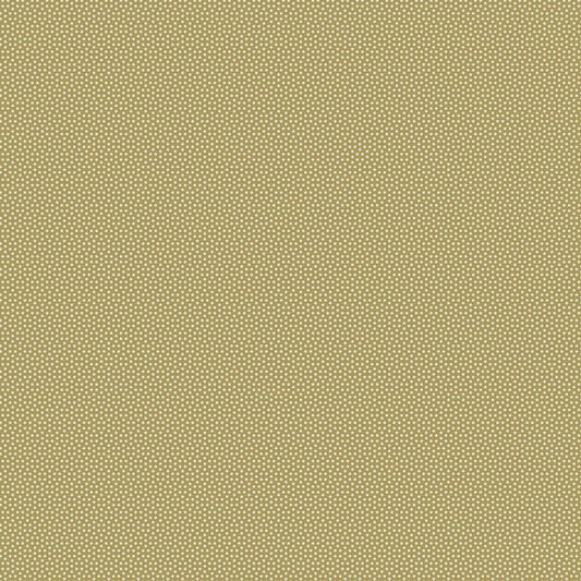 Poppy Seed - Basics- Olive
