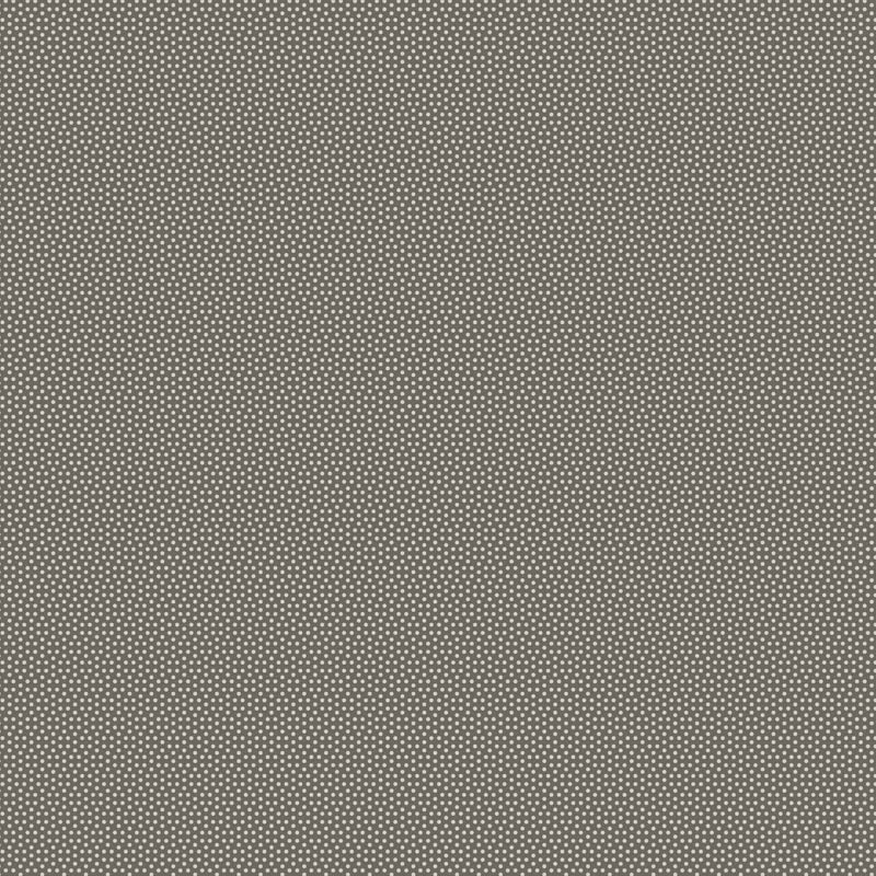 Poppy Seed - Basics- Charcoal