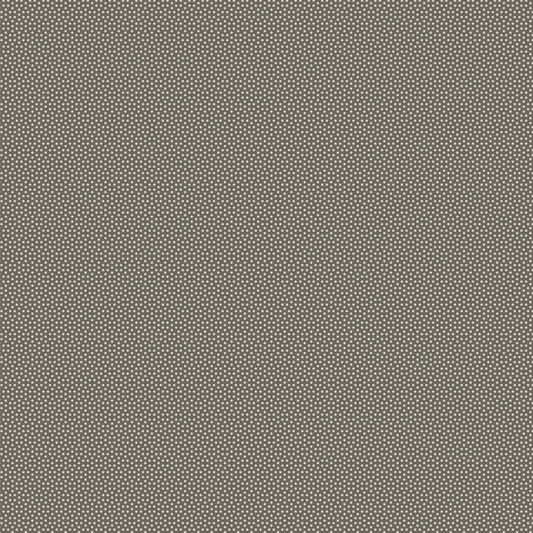 Poppy Seed - Basics- Charcoal