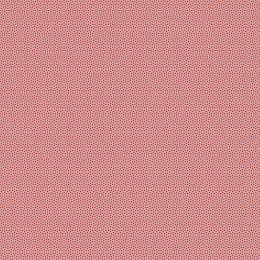 Poppy Seed - Basics- Redwood