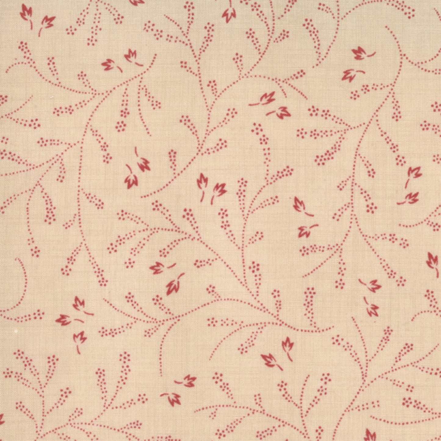 French General - Masion de Garance - Oyster